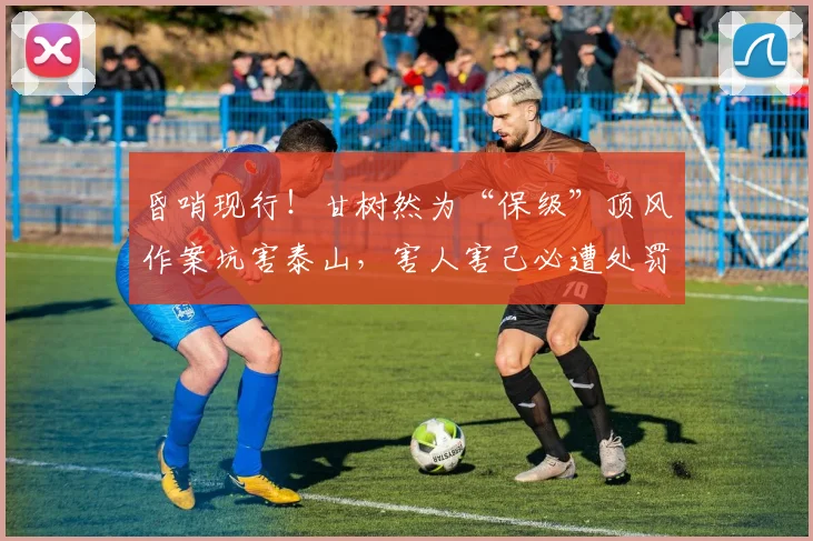 昏哨现行！甘树然为“保级”顶风作案坑害泰山，害人害己必遭处罚